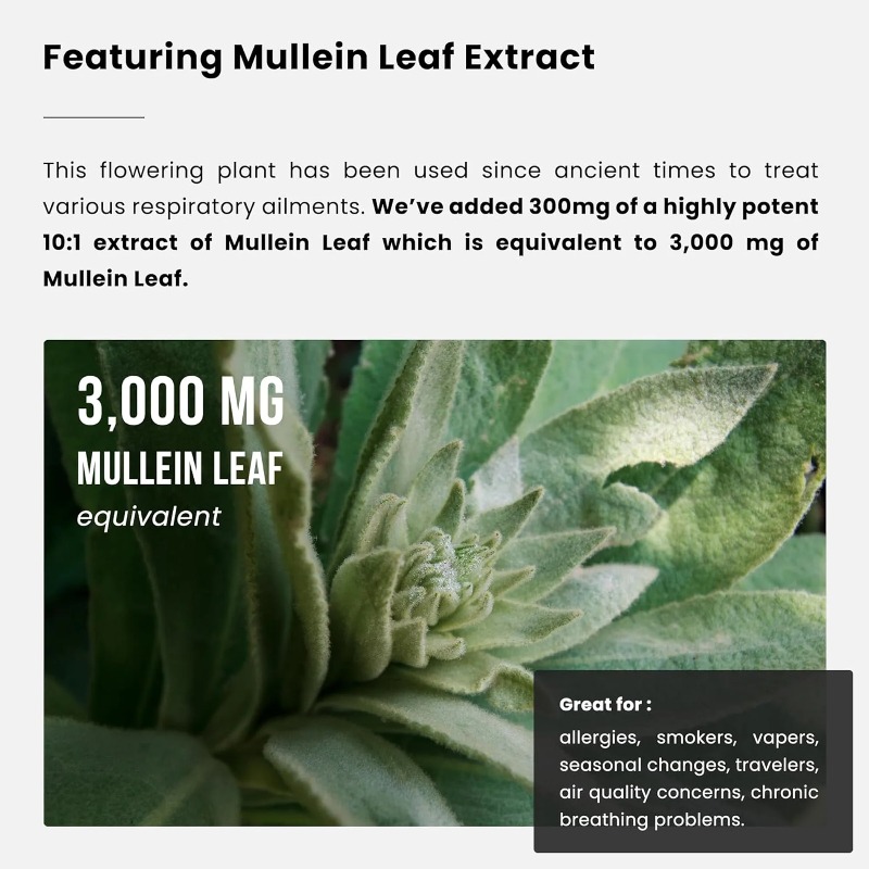 Ekstrak Daun Mullein - Pembers - Herbal Supplement ulasan dan harga