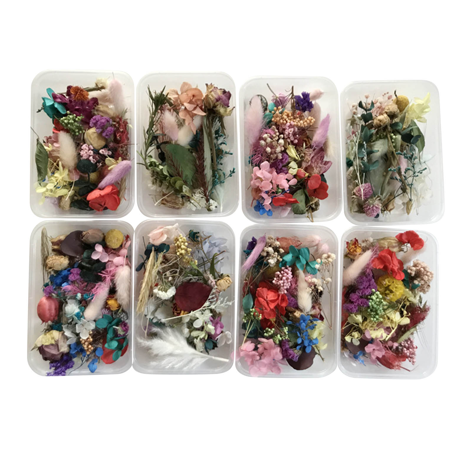 Kit Bunga Kering Alami Karya S - Dried Herbs ulasan dan harga