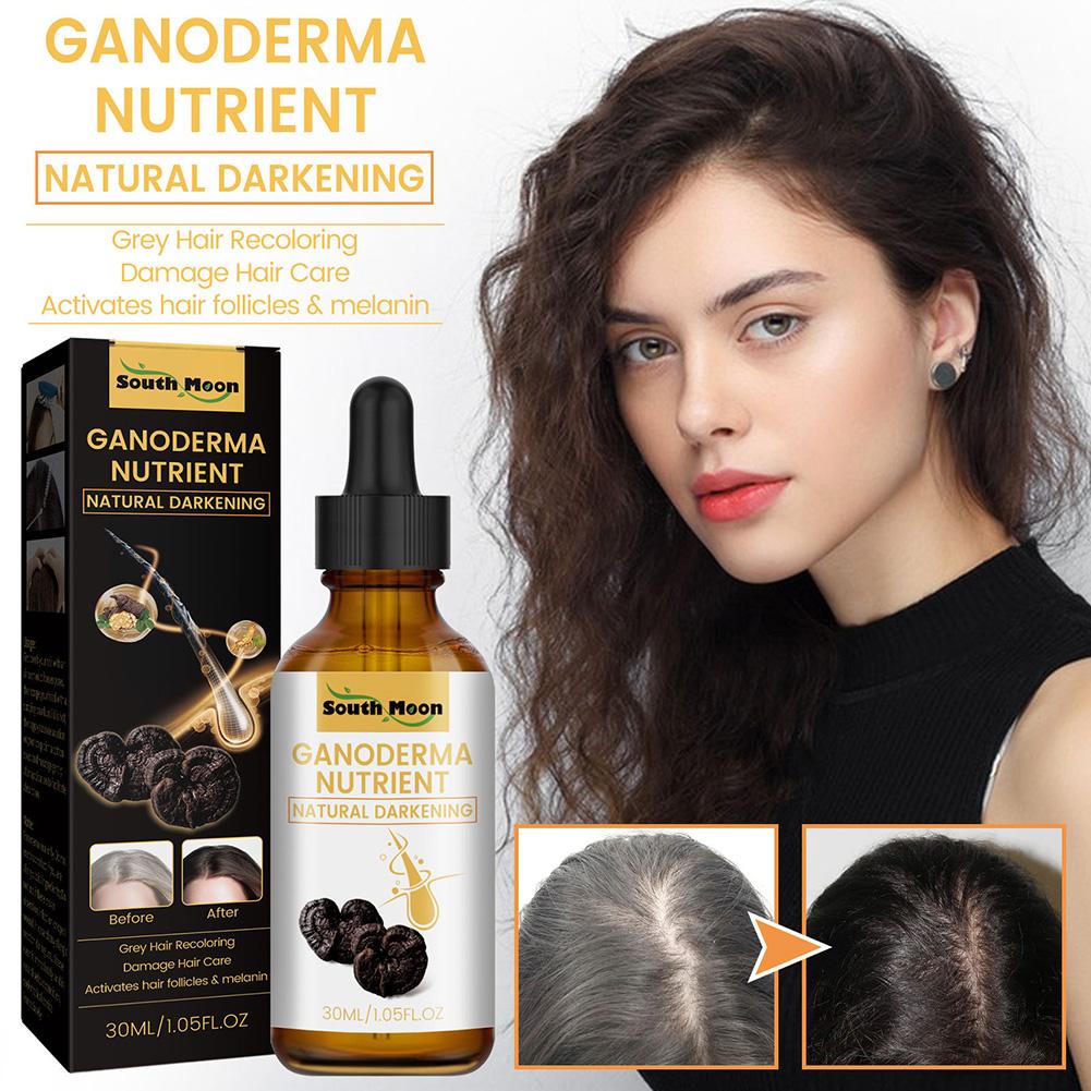 Serum Nutrisi Rambut Ganoderma - Licorice Root Sticks ulasan dan harga
